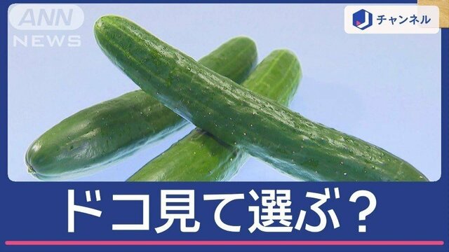 きゅうり“新鮮美味しい”見分け方　ヘタ？皮？色？プロはドコ見て選ぶの？