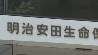 明治安田生命 アメリカの生命保険会社買収へ　買収額約3000億円　海外保険事業を収益柱に育てたい狙い