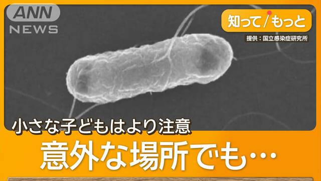 厳しい暑さで食中毒が増加　O157感染報告数は今年最多　動物との触れ合いにも注意