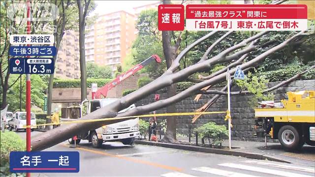 【速報】東京・広尾で倒木　“過去最強クラス”関東に「台風7号」