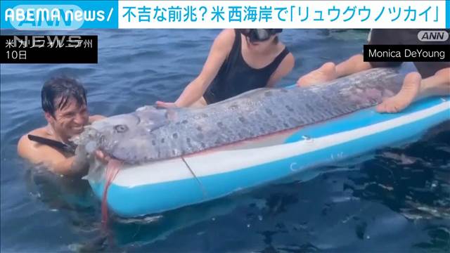 カリフォルニアに“終末の魚”現る　2日後の地震に結び付けて報じるメディアも