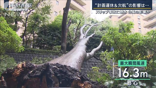 新幹線の運休で「東京に戻れない」空の便はあすも欠航相次ぐ…首都圏の交通は大混乱