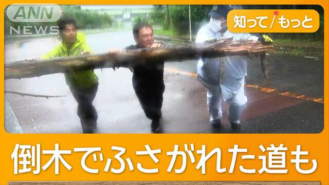 「非常に強い」台風お盆直撃　関東接近で停電・冠水・倒木　ディズニーは閉園前倒し