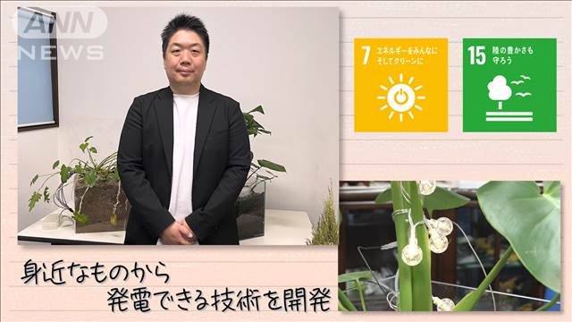 【SDGs】植物が育つ環境で電気を作る