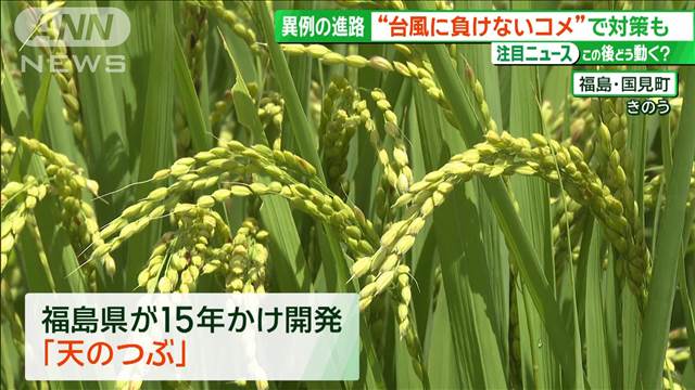 異例のルート辿る台風続く…水害対策進む　東北で注目の“台風に負けない米”とは