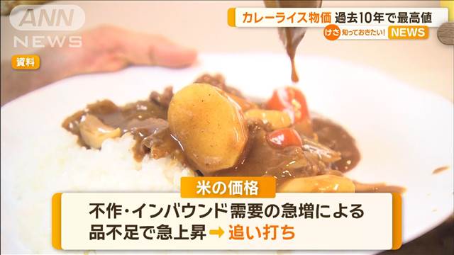 カレーライス物価　過去10年で最高値