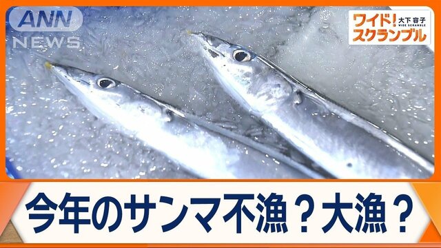 サンマ初水揚げ　根室・花咲港で去年上回る量　一方…札幌初競りでは高値　なぜ？