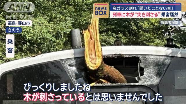 列車に木が突き刺さる　窓ガラス割れ乗客騒然　福島・水郡線