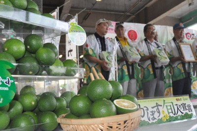 爽やかな風味で残暑乗り切って　大分県産カボス「旬入り」宣言