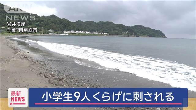 小学生9人がクラゲに刺される 千葉・南房総市の海岸