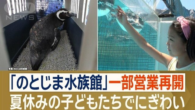 地震で休業していた「のとじま水族館」半年ぶりに一部営業再開　県外避難続く生き物も