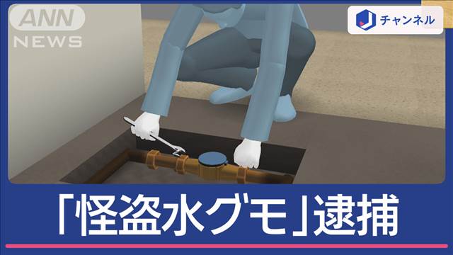 神出鬼没「怪盗水グモ」逮捕　水道メーターばかり狙う…その正体は？