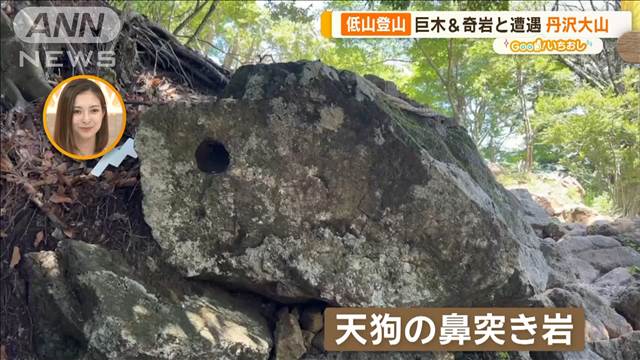 ケーブルカーで快適に！ 夏の低山登山　神奈川・伊勢原市前編【グッド！いちおし】