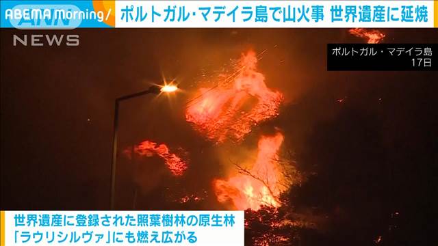 ポルトガル・マデイラ島で山火事　世界遺産の照葉樹林に延焼