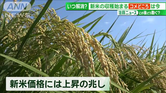 品薄に価格高騰の「コメ」 今後の見通しは？“日本一のコメどころ”で見えた課題