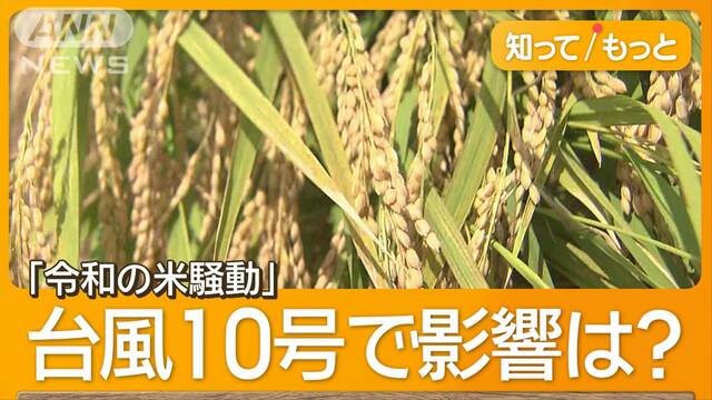 「令和の米騒動」に追い打ち　台風10号接近で農家警戒　スーパーでは品切れ