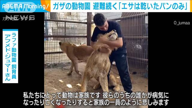 ガザで唯一の動物園「エサは乾いたパンのみ」