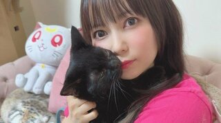 【中川翔子】愛猫カステラが「FIPという難病を乗り越えました！」「ミラクルキャット」「絶対に幸せにする」