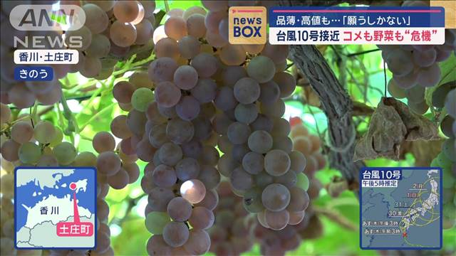 台風10号接近で米も野菜も“危機”　品薄・高値も…「願うしかない」