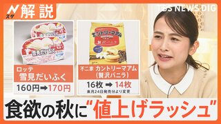 食欲の秋に“値上げラッシュ”…1392品目値上げのなか「増量」に「値下げ」の企業努力も【Nスタ解説】