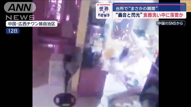 “まさかの瞬間”台所で食器洗い中に落雷か… 道路に小型機が緊急着陸