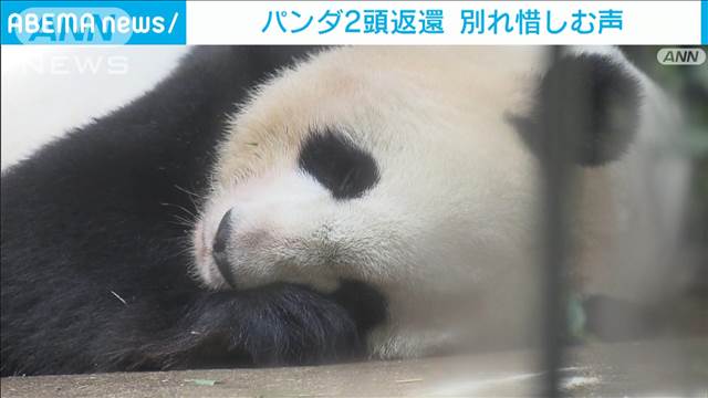 上野動物園のパンダ2頭返還へ　「リーリー」と「シンシン」に多くの人がお別れに