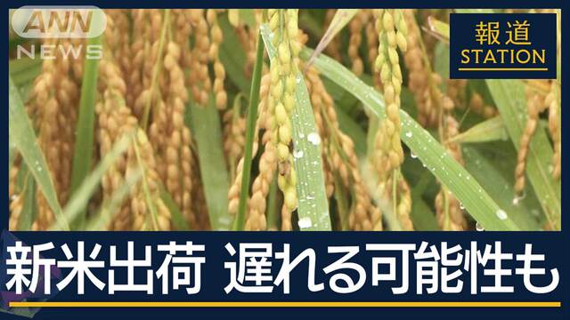 収穫を始めた矢先に…台風10号が直撃“品薄”続くコメにも影響　不安募る農家を取材