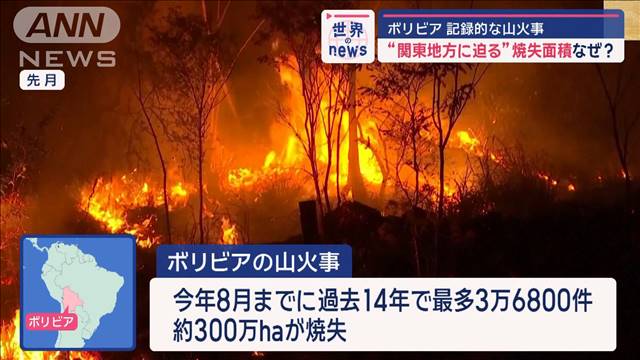 記録的な山火事“関東地方に迫る”焼失面積　ボリビア