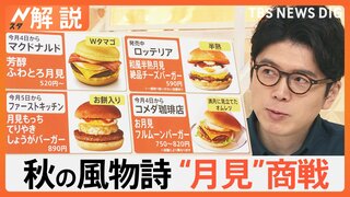 「月見バーガー」のきっかけは“秋だから”ではない…牛丼・ピザなど過熱する“月見商戦”【Nスタ解説】