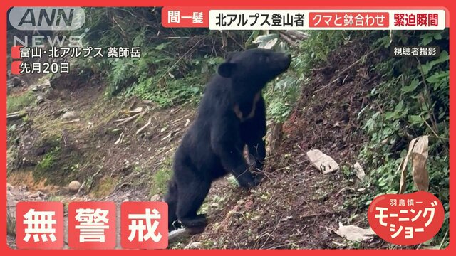 北アルプス登山者、クマと鉢合わせ緊迫瞬間　至近距離でも無警戒　冷蔵庫あさる被害も