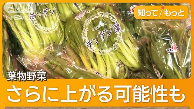 「はもの野菜」激減で高騰…価格2倍も　台風の大雨が影響　コメどころ新潟の新米は？