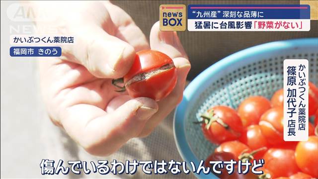 猛暑に台風「野菜が無い」 品薄ミニトマと“価格2倍”しかも割れてる!?