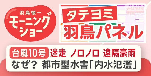 【羽鳥パネル】台風10号 迷走 ノロノロ 遠隔豪雨なぜ？都市型水害「内水氾濫」