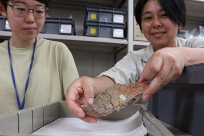 あって当然の成分がやっと　奈良時代の製塩土器から「にがり」初検出