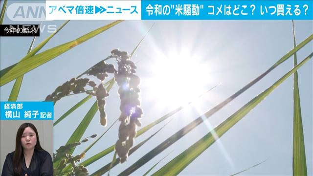 【解説】令和の“米騒動”　コメはどこ？いつ買える？　経済部・横山純子記者