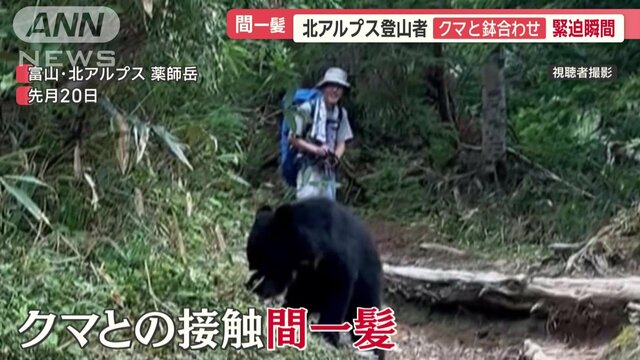 クマ類による人身被害 昨年度は統計史上最多に　被害が深刻な5地域に専門職員配置へ