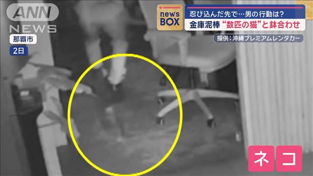 金庫泥棒“数匹の猫”と鉢合わせ　忍び込んだ先で男の行動は？