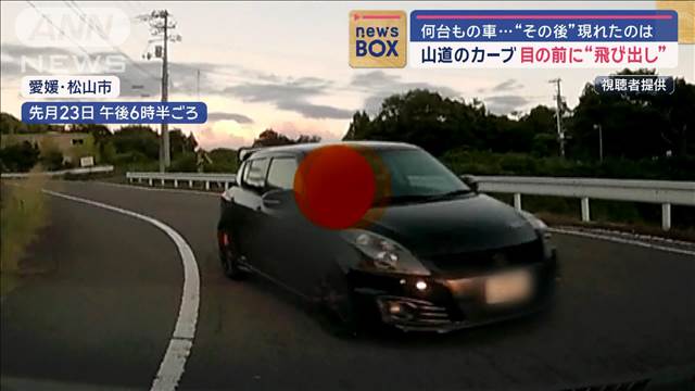 あわや！山道のカーブで“突然”目の前に… 愛媛