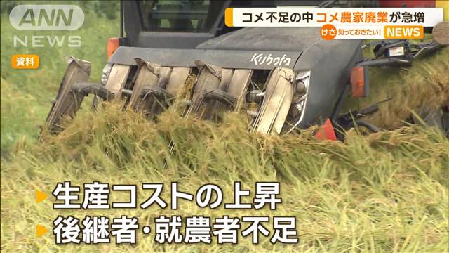 コメ不足の中　コメ農家の倒産・廃業が急増