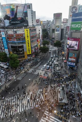 【債券週間展望】長期金利は低下か、米利下げ確実－日銀利上げは先に