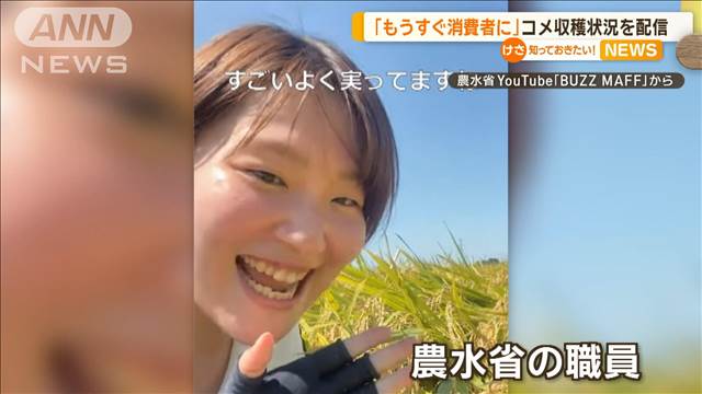 「もうすぐ消費者に届く」 農水省職員が新米の収穫・出荷を動画配信　情報発信を強化