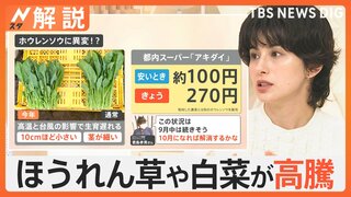 「最悪な状況」次はほうれん草や白菜が高騰…暑さ・台風が影響　世界で“記録的不作”オリーブ、オレンジ、カカオも【Nスタ解説】