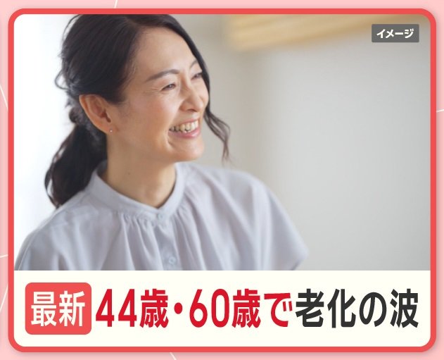 老化が加速する年齢は44歳と60歳 ！？体の若さ保つ「ミトコンドリア」とは