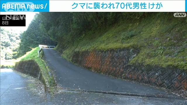 クマに襲われ 70代男性けが 山口・岩国市