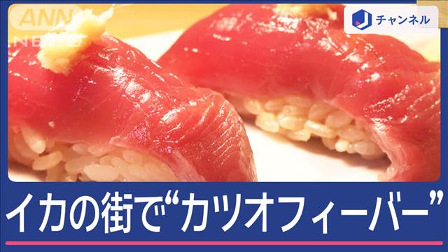 寿司店も驚き！「イカの街」函館で“カツオフィーバー”異例の豊漁なぜ