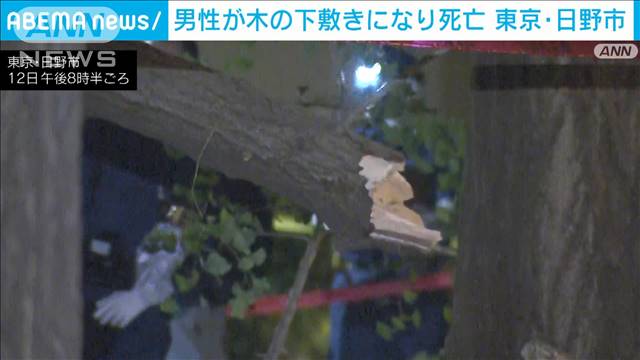 東京・日野市で倒木　30代と見られる男性が搬送　病院で死亡確認