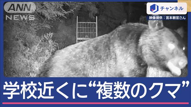 小学校近くに“複数のクマ”住宅街緊迫　桃を食い荒らし…果樹園にも連日出没