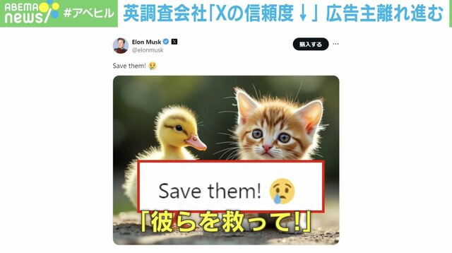 マスク氏がまた“虚偽拡散”「猫の画像」投稿の意図は？ 信頼低下で広告主は“X離れ”が急加速