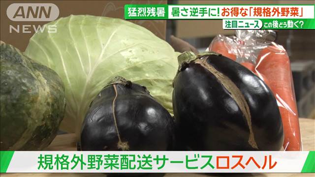 「秋来なさそう」9月も猛暑続き　“規格外”の野菜では新たな商機も