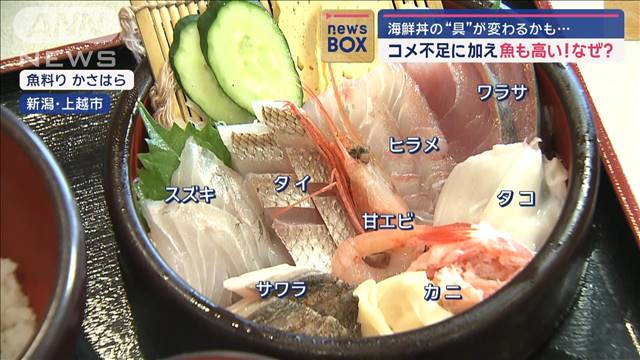 海鮮丼の“具”が変わるかも…コメ不足に加え魚も高い！なぜ？